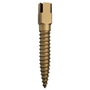 POSTES DENTATUS DORADOS RST EXTRA LARGOS N6 14,2MM