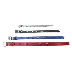 Collar De Piel Perro 20MMx45cm